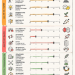Illustration représentant une équipe dynamique travaillant ensemble pour évaluer leur agilité
