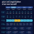 Représentation d'une ONG modernisant son écosystème numérique avec des collègues collaborant sur des ordinateurs